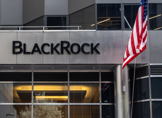 BlackRock призывает не