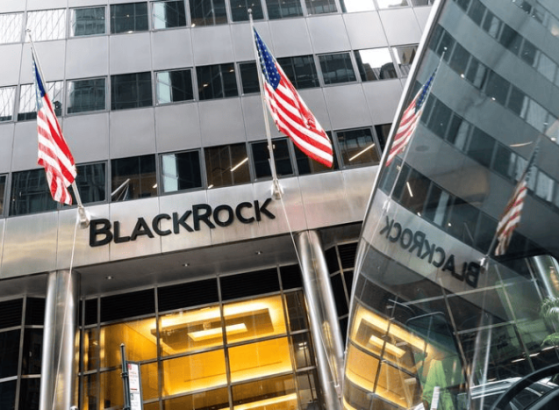 BlackRock увеличил долю